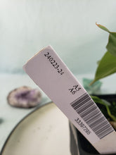 Load image into Gallery viewer, Philodendron Sodiroi True Form, Exact Plant