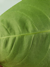 Load image into Gallery viewer, Angamarcanum, Exact Plant, Anthurium