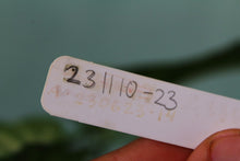 Load image into Gallery viewer, Xanthosoma Lindenii, triple plant, Exact Plant