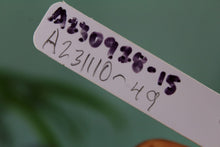 Load image into Gallery viewer, Philodendron Quercifolium, exact plant, ships nationwide