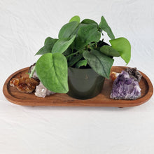Load image into Gallery viewer, Scindapsus Silver Hero 6" pot, Fedex 2day