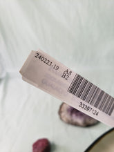 Load image into Gallery viewer, Alocasia Gageana Aurea, Exact Plant Variegated