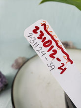 Load image into Gallery viewer, Variegated Domesticum, Exact Plant, Philodendron