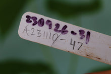 Load image into Gallery viewer, Anthurium Propinquum, exact plant, ships nationwide