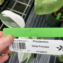 Load image into Gallery viewer, Philodendron White Princess Variegated exact plant, Fedex 2day*
