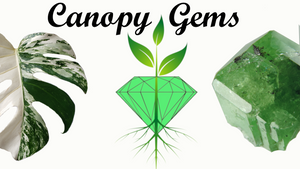Canopy Gems
